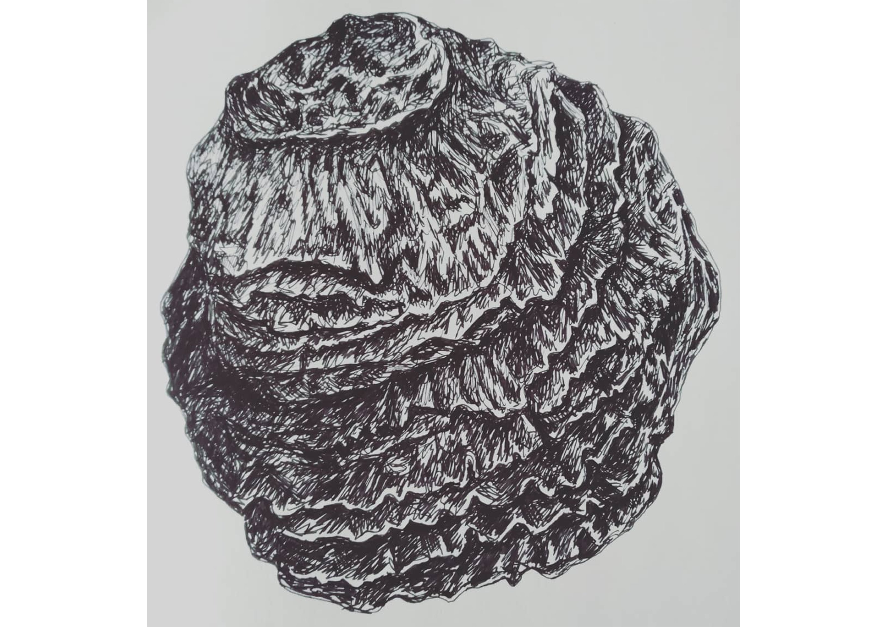 Oyster shell