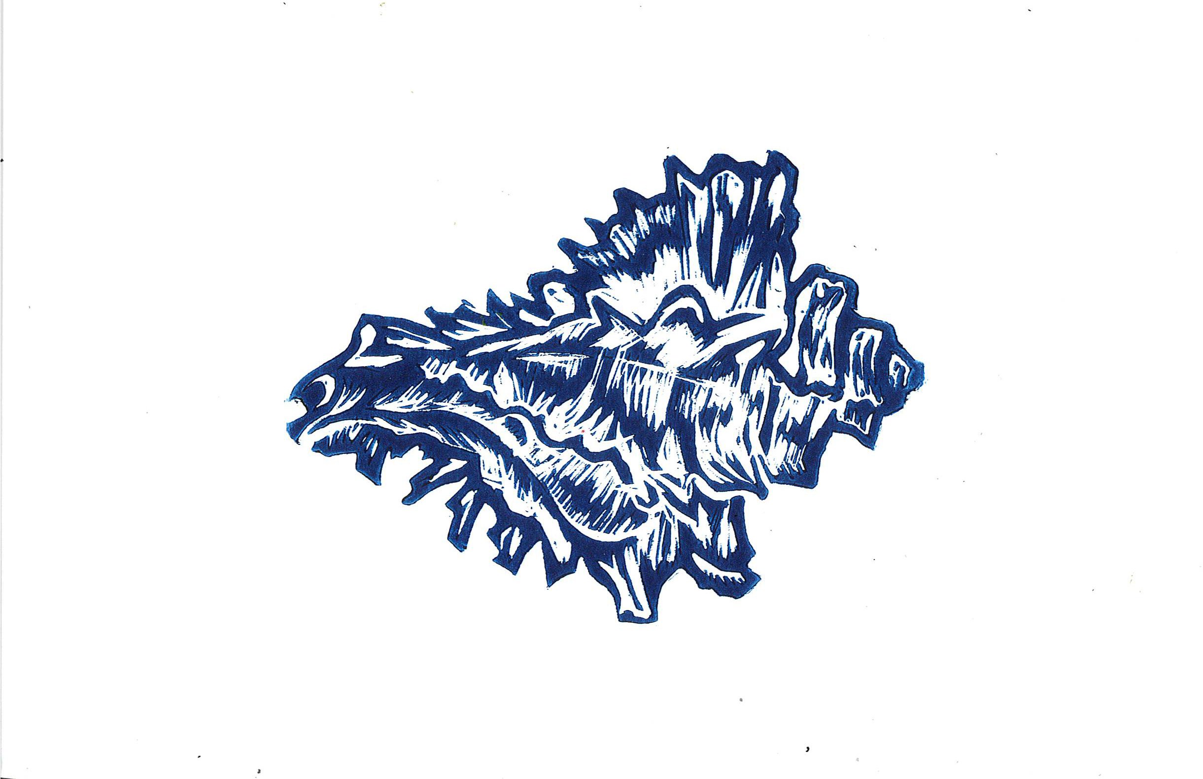 Seashell 1